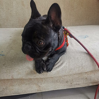 �Ҽҷ��������𣿼�ֵ����