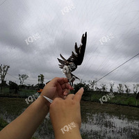 ˭֪�����������������վ���ģ���ȥѧϰ