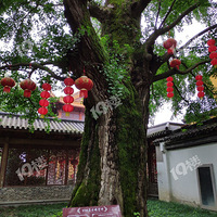 �����������������