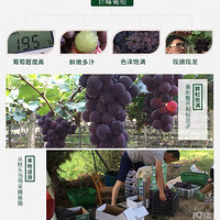 �Լҵľ޷����ѿ�ʼԤ����Ŷ���𳬺ó�