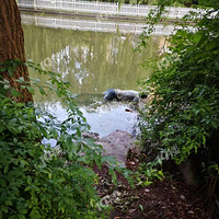 �峿�����������и�ʬ��