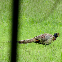 ����ʲô��