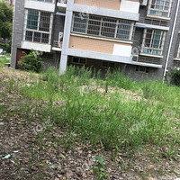 NJHY�Ӳݴ���һ�׶�ߣ�������ҵ����С��