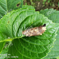 ����֮��