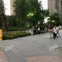 �����������֣�