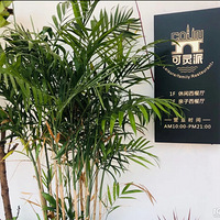 �������ֲ��Ƽ��������ĵ����������Է��Ŀ�����