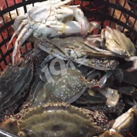 ����������Ҫ�����ˣ�����з�����㡢���㡭�����ͺ��ʼ����ع飡