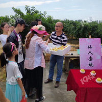 �����Žֵ�������������ҽڻ