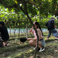 ��һ�����Ӳ�ժ�������