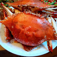 �������ҳ��ˡ������ڼҿ��ſյ��Ⱥ�С�ƣ�Ψ����ʳ���ɹ���