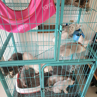 ����Сè�䣬��Ҫ��˽�ģ�