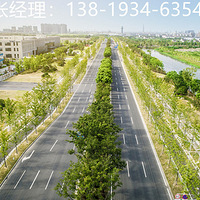 ���ݱ̹�԰���ø����¥�㲻����,�мǣ��мǣ��мǣ�