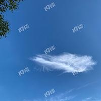 �쳬�����Ƴ�����