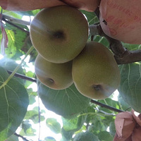 �Լ��ֵĺ���⨺����ؼ�19.9һ�䣬һ��30�������ʡ�