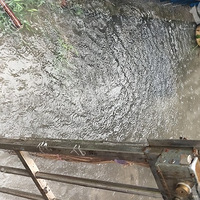 ���޹��̱���˺�����