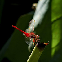 �������������