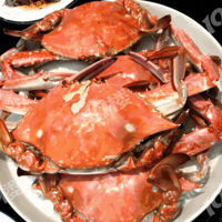 �����ڽ����ˣ�����з�����㡢���㡭�����ͺ�����ʽ�ع飡