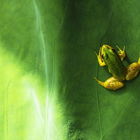 ����С���� ���ϸ����~~~