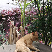 ���ˣ��ϵܣ�