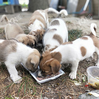 ̨��Ҫ���ˣ���ȺС��������ô��