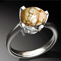 ̨�������еĴ�½��