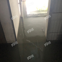 �������˿���