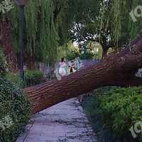 ����ȥ�º�Ϫ�����쳬ǿ̨�����������������˾�̾��8��11��