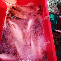 �����ģ�һ����ȥ�Ͱ⵽������ʮ����