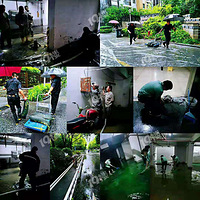 ��Ԫһ��ׯ����ҵ��������