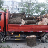 ������̵��ı������¾���