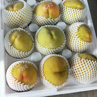 ���Ҵ�������