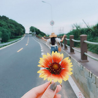 ��8�´��+���������Ƿ۷���