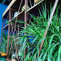 ��ͼ������͡�8.14