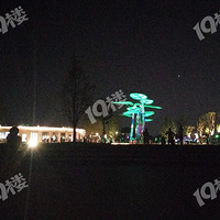 ������Ǻ�����