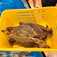 �������ֲ��Ƽ�������ƽ��ۣ�һз���ԡ�