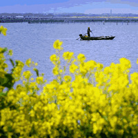 һ����ˮ�������������������λ�����Ļ����ո��ʱ����