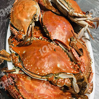 ��ɽ�˳�����ִ��ַʵ�����з��50Ԫһ�