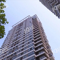 ���ӱ���ҧ��ô�㣿үү����ҵ��˾�⾫����ʧ ��ҵ��������˵