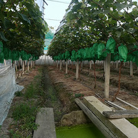 ��������õ������