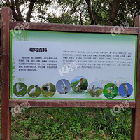 ��������Կ�����