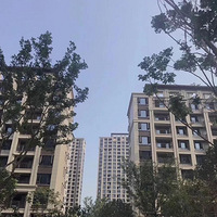 ��2019����7�Ҿ߳��б���+ ����Ҽ��Ժ+ 118 + ��ŷ