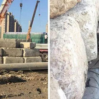 �������˿��е�ר�� ֻ�������еĽ���