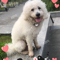 Ѱ������