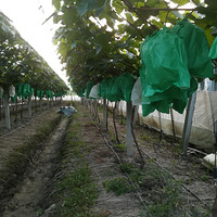 ��������õ���ϣ�Ʒ���ţ��״���ֲ����Ҫ��