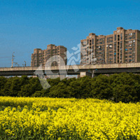 �ذ������������󣬺����⿪չ�ڶ����Ǽ���·ǰ���о���