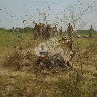 �Բ�ɫ�ǵ������ŵ�ɫ��