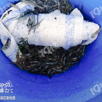 ˮ��̫�ã�����������Ϻ�ˡ�