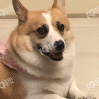 ��Ҫ�»�Ȯ��