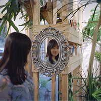 �����´����ռǡ���Ƭ���򿨼�������ֲ��԰