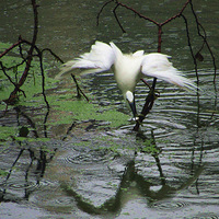 ��������˲��